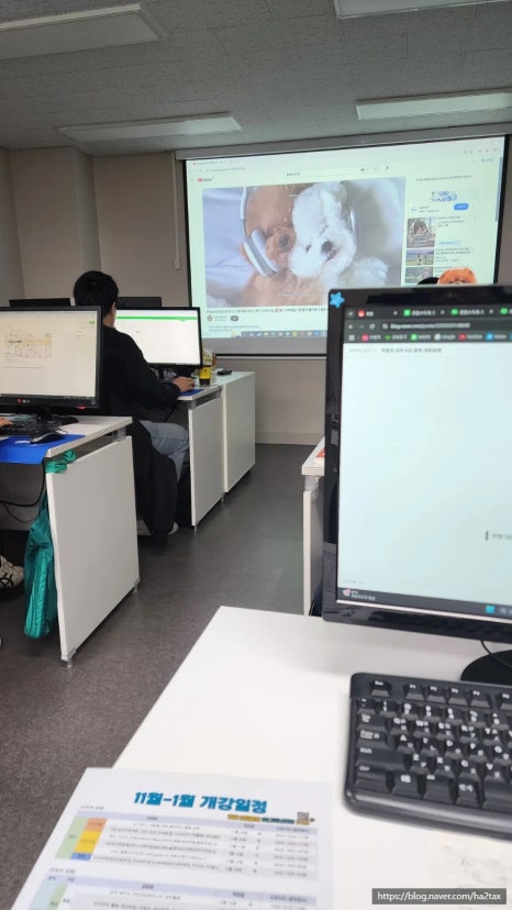 세진세무회계 이미지