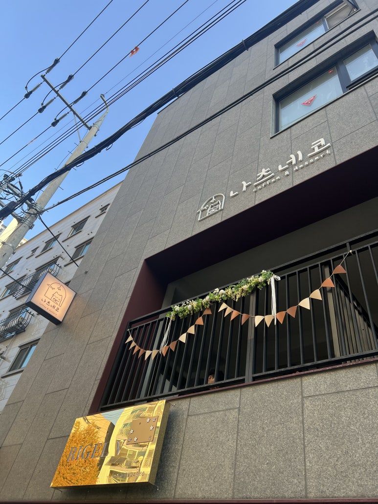 크로플네코 이미지