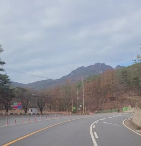 젤루느린 달팽이 이미지