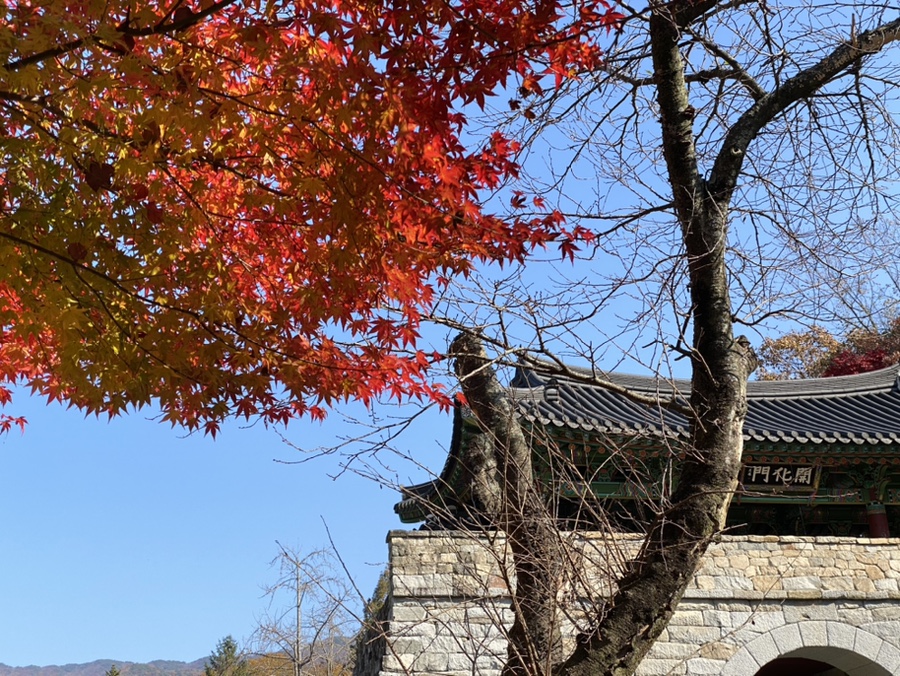 김정선 베이커리카페2 이미지