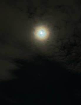 카페,티라미수 이미지