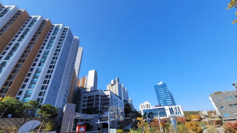 주간식당 이미지