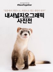 내셔널지오그래픽전주 이미지