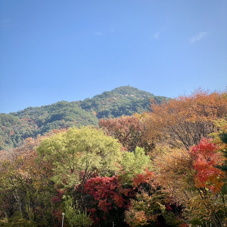 착한 생오리 이미지