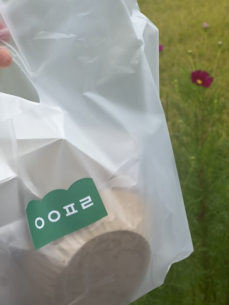 스테이나무 이미지