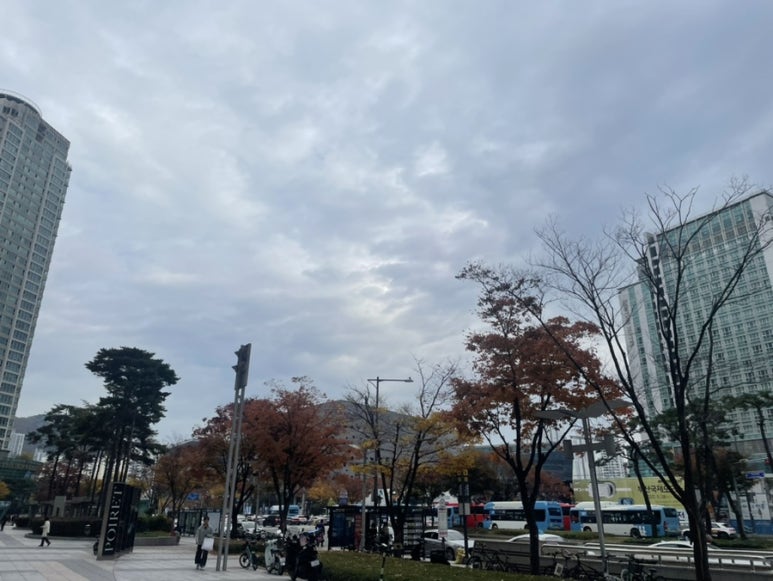 버커피 이미지