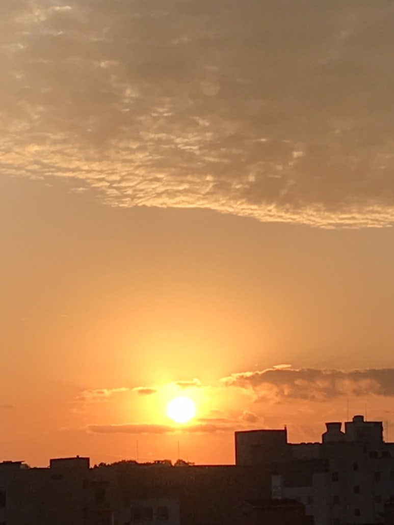 진선미미용실 이미지