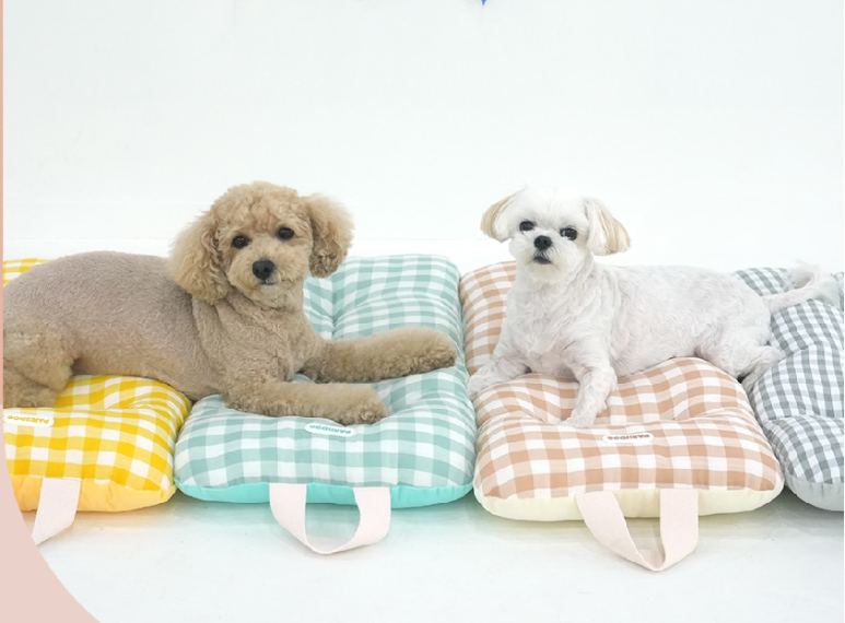 댕냥이라이프 강아지와고양이 애견용품펫마트 이미지