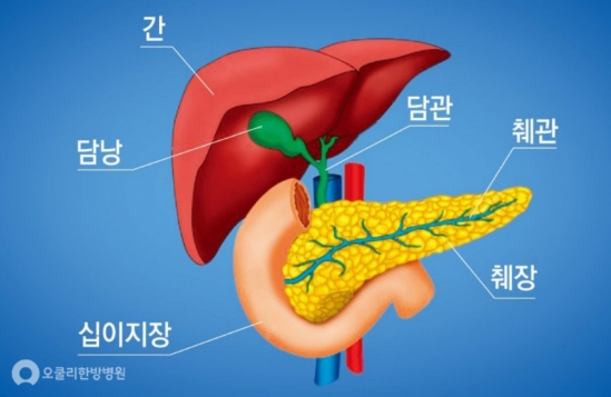 꼭꼭씹어라 이미지