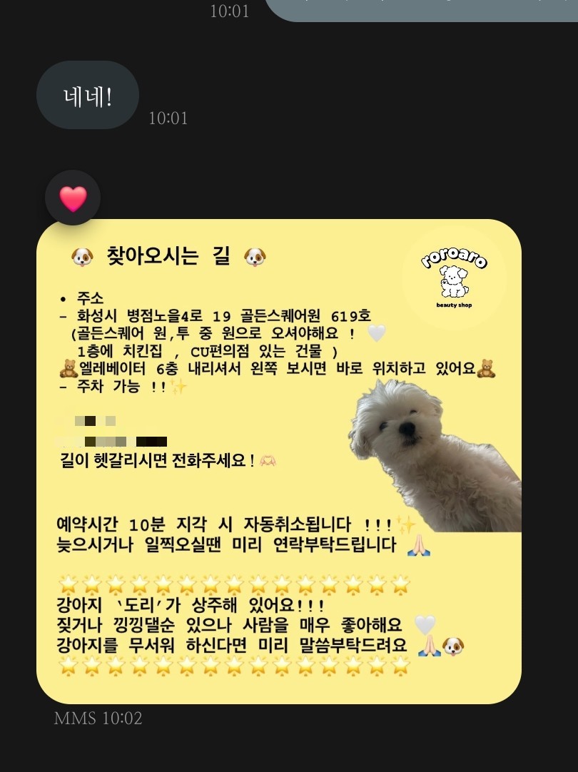 로로아로 이미지