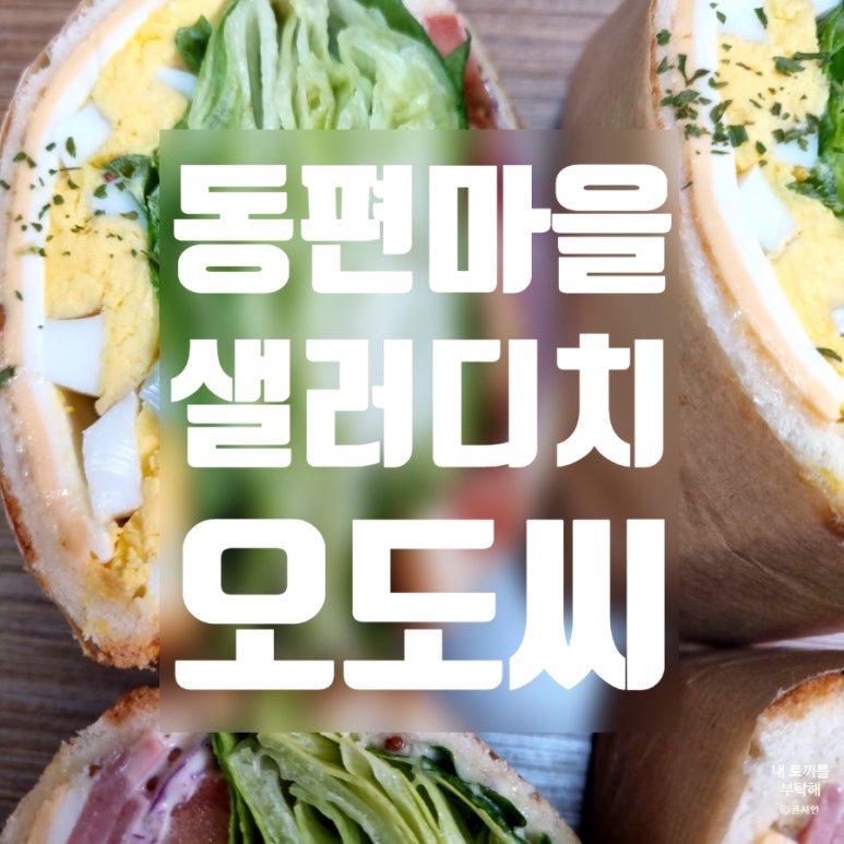 샐러디치오도씨 이미지