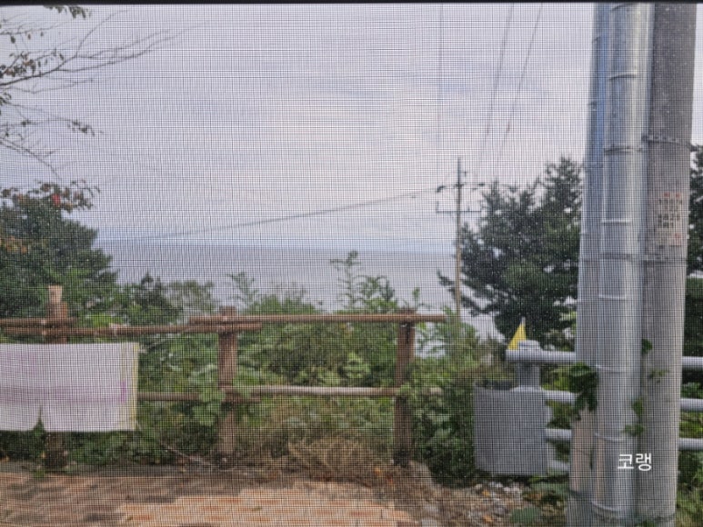 대진해수욕장 야영장 이미지