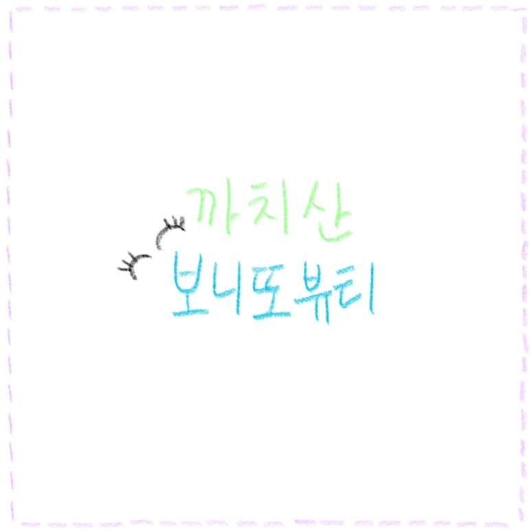 보니또 이미지