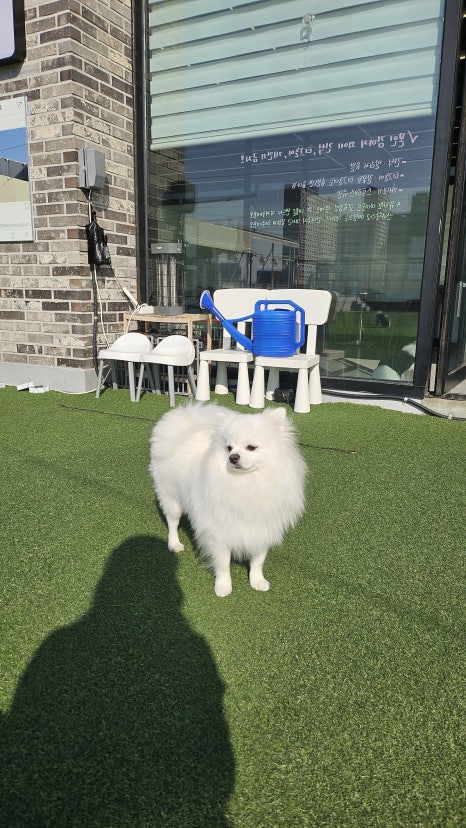 개스트하우스 청주점 이미지