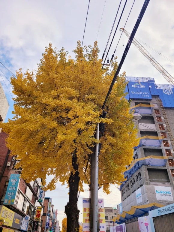 무이커피랩 이미지