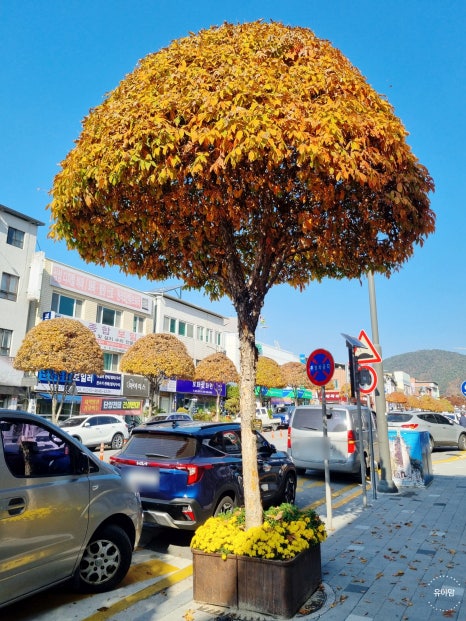 복생반점 이미지