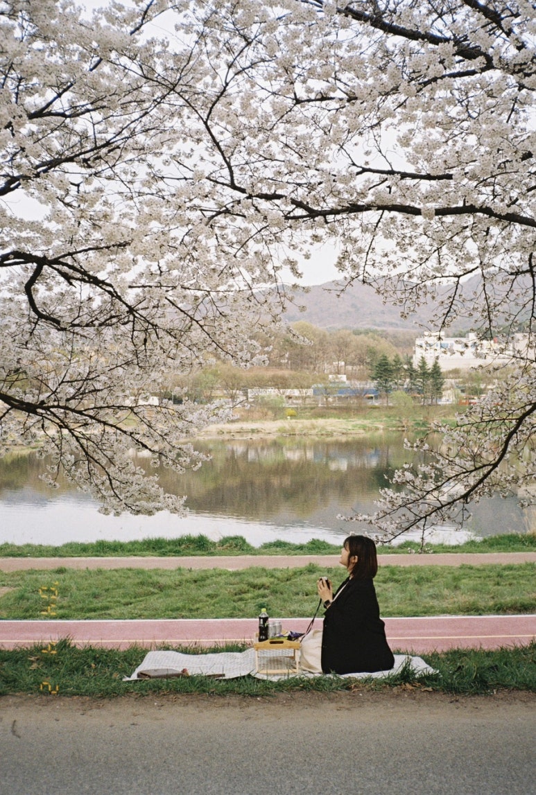 맥텔 이미지