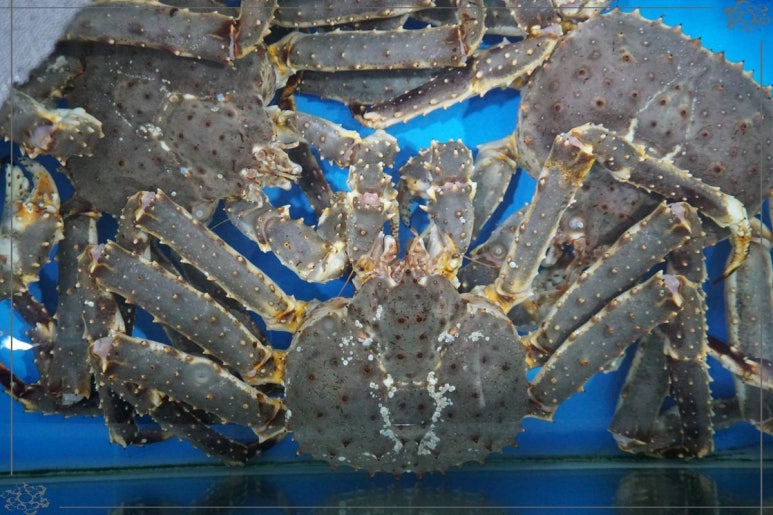 하이벳수산 이미지