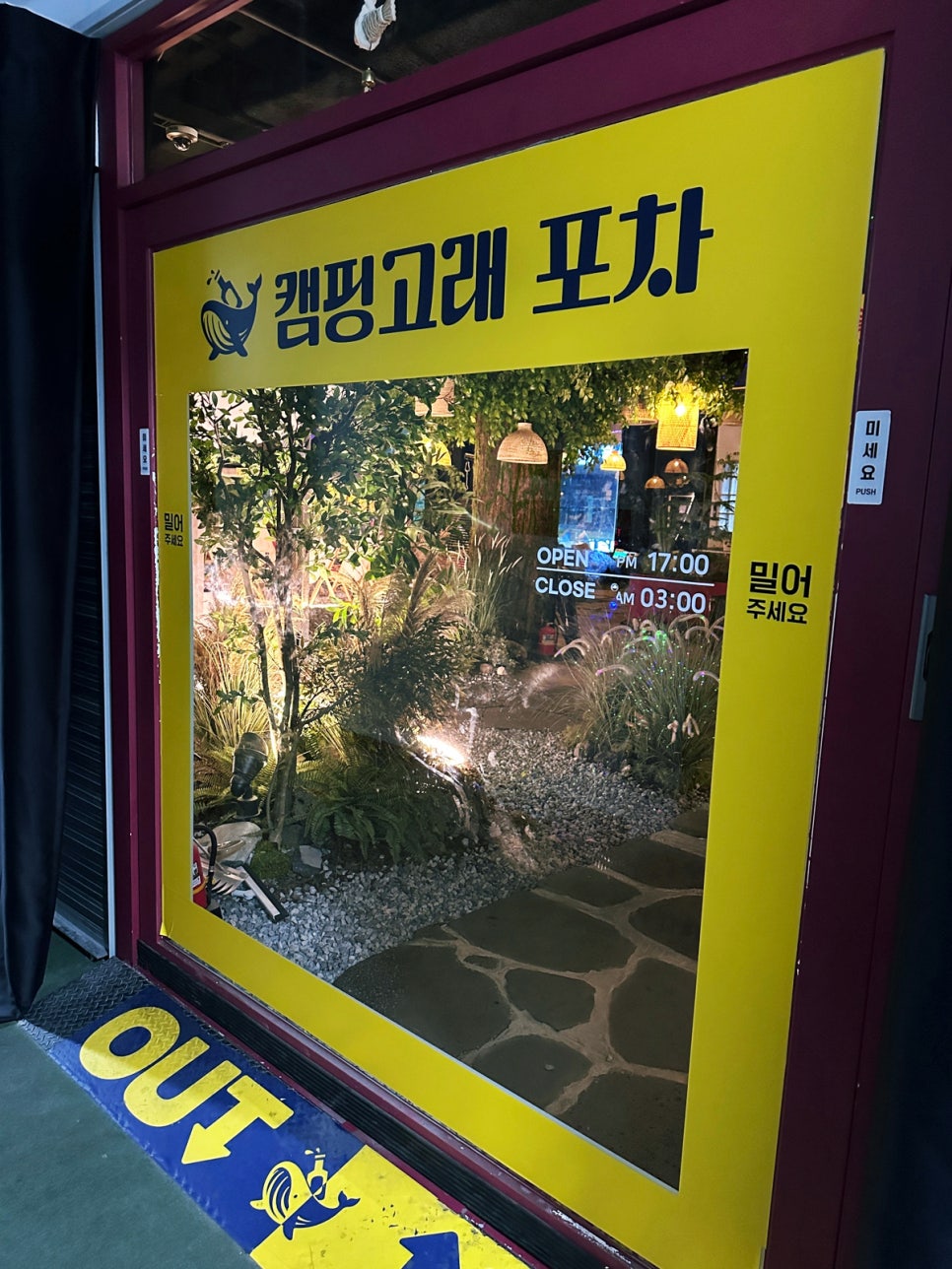 낭만고래 이미지