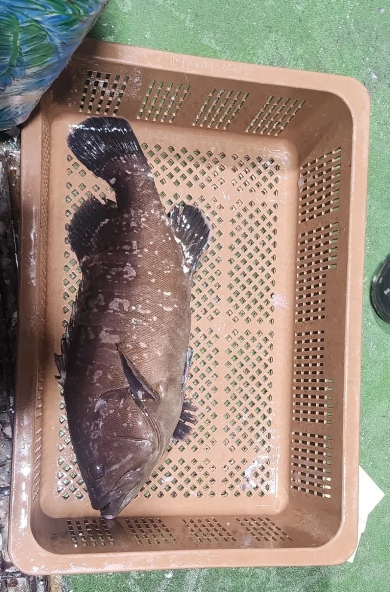 서희수산 이미지