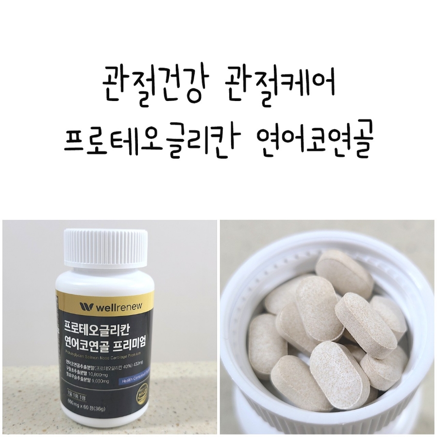 웰리뉴 이미지