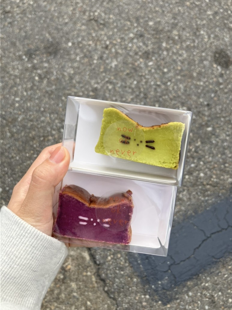 나우올네버 이미지