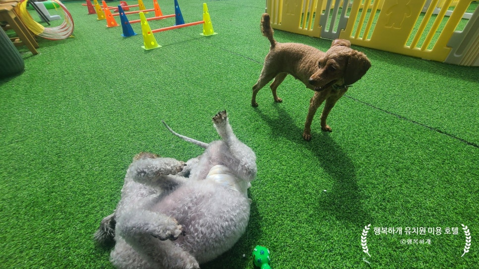 행복유치원 이미지