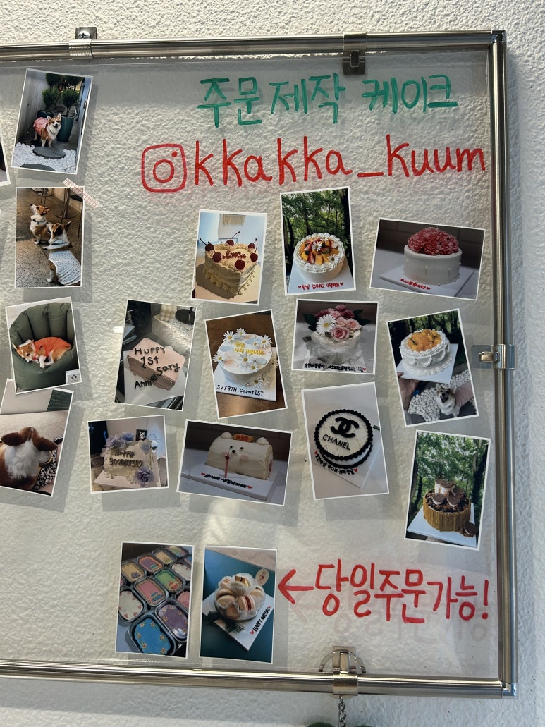 구:움 이미지