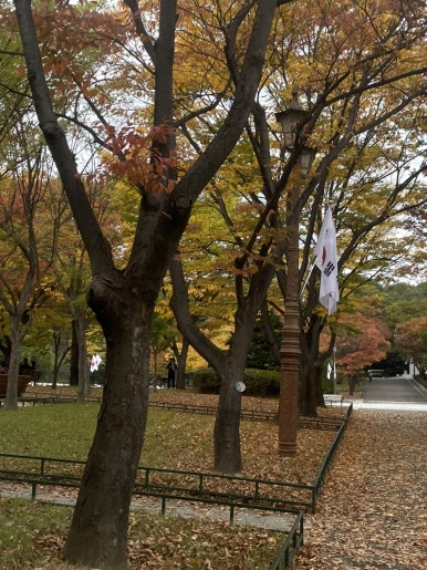 카페멘디 이미지