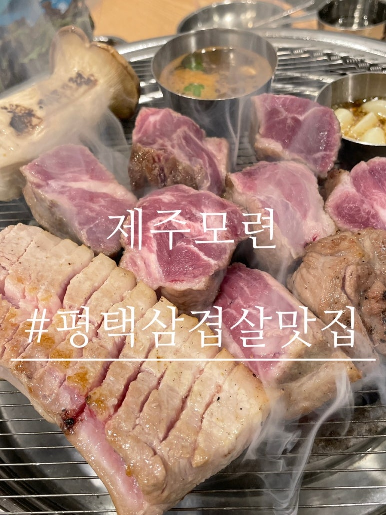 제주모련 이미지