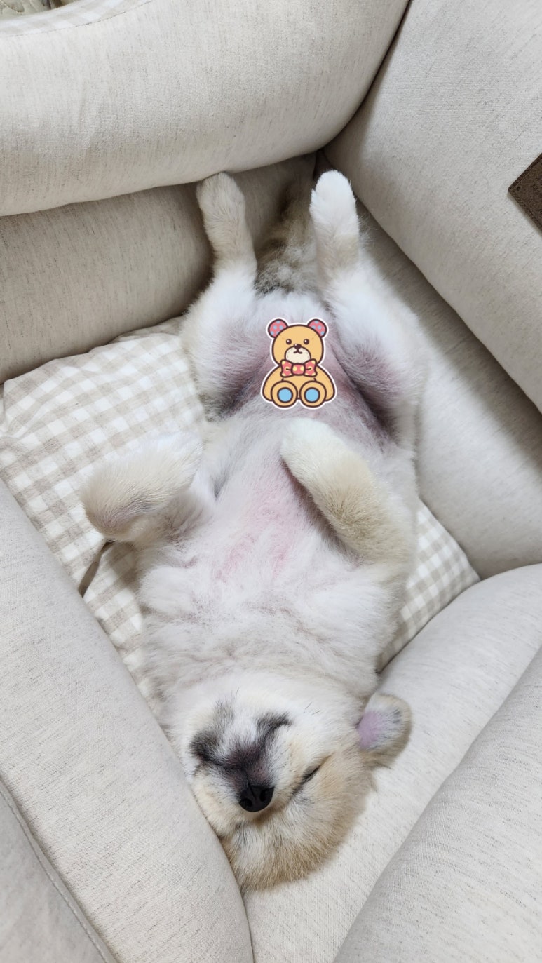 (주)이츠케이 이미지