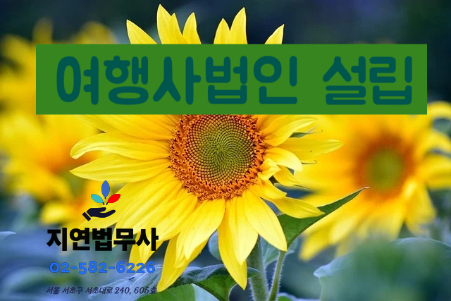 주주여행사 이미지