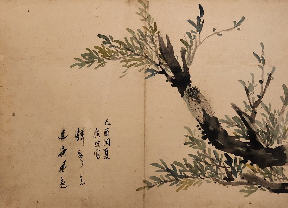 명선화원 이미지