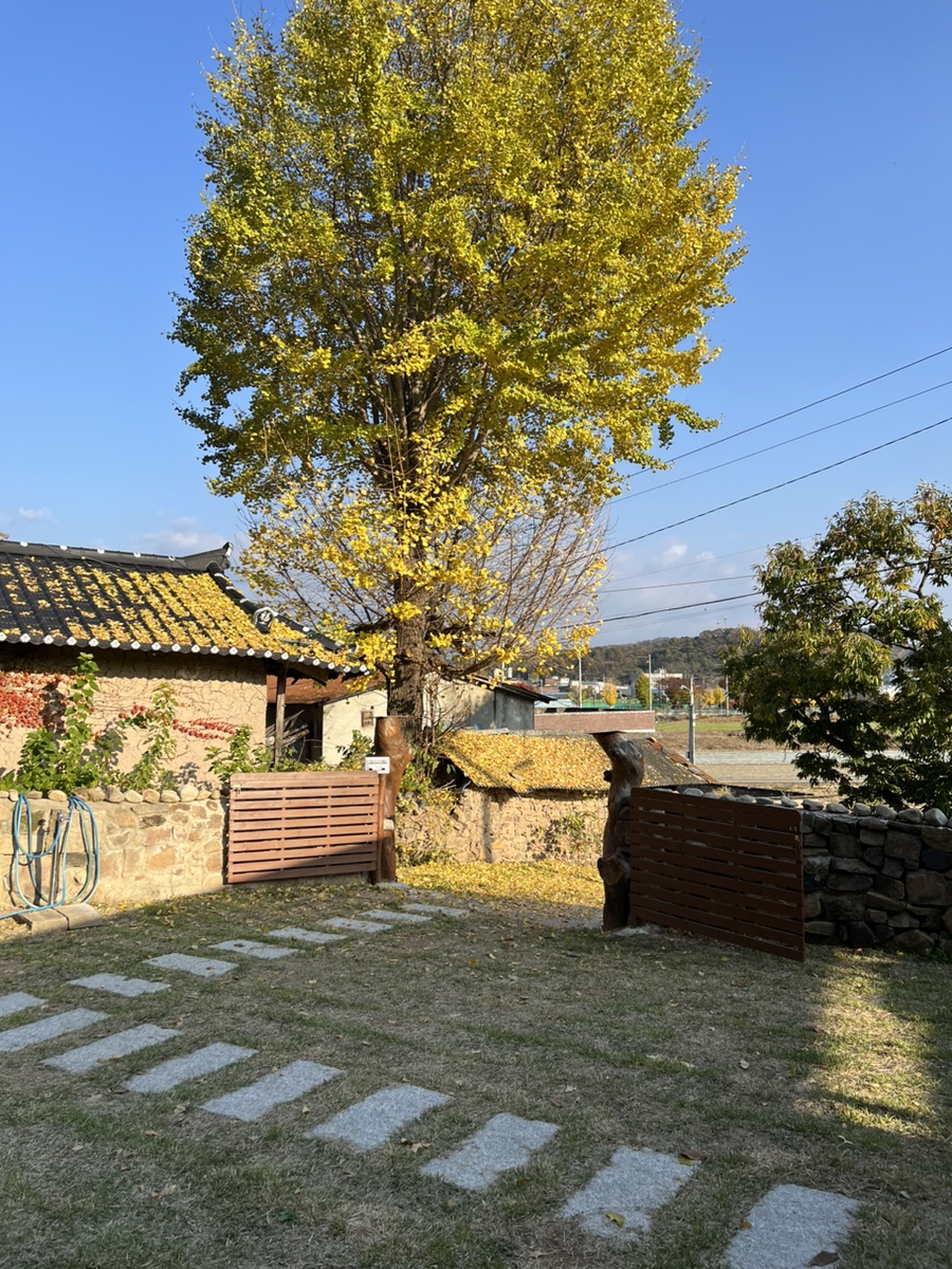 우보스테이 이미지
