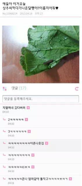 하이어그라운드 이미지