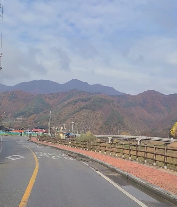젤루느린 달팽이 이미지