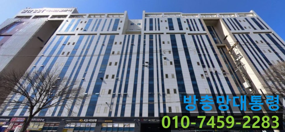 방충망대통령 이미지