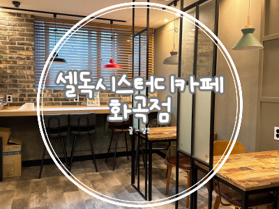 셀독24시스터디카페 이미지
