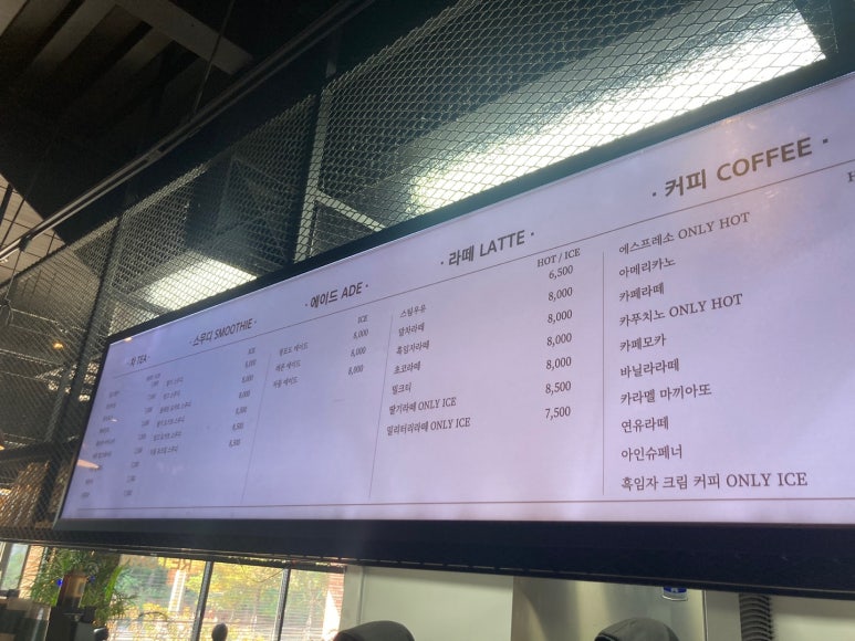 팍스디엠지 이미지
