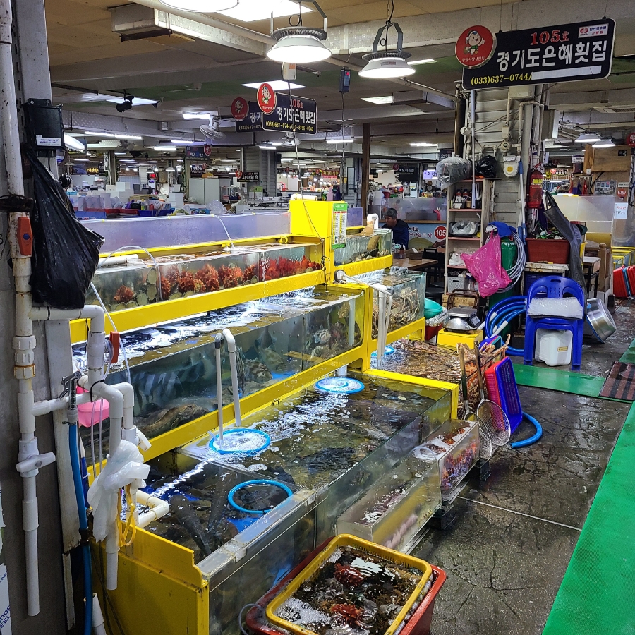 경기도은혜횟집 이미지