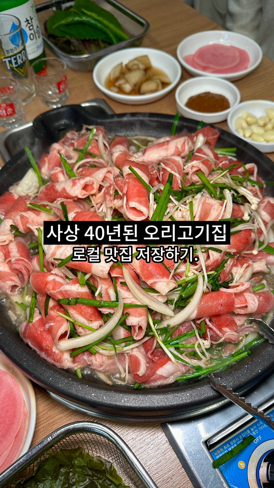 평강오리 이미지