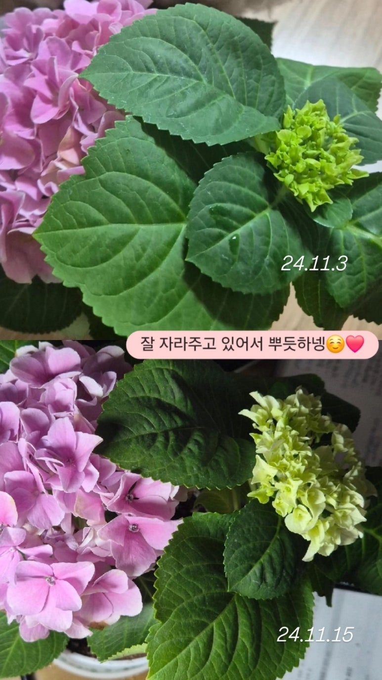 황*근 이미지