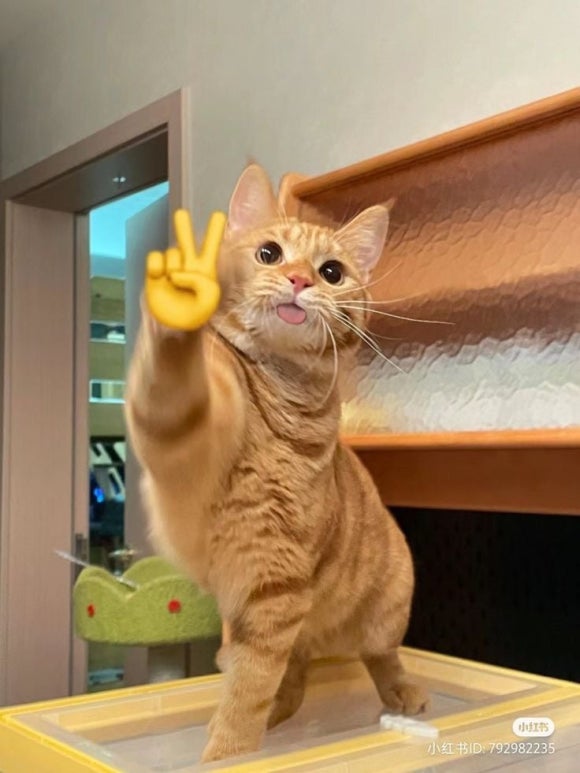솔트앤페퍼 이미지