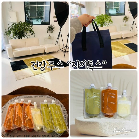 지이톡스 이미지
