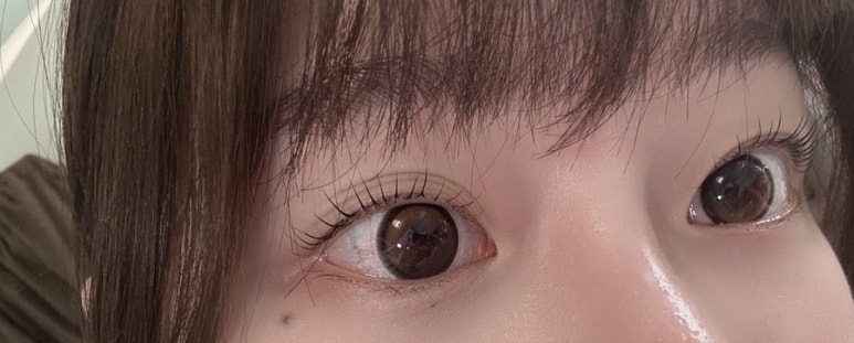 담아놓다 이미지