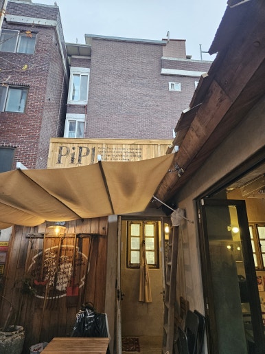 플레져빈 이미지