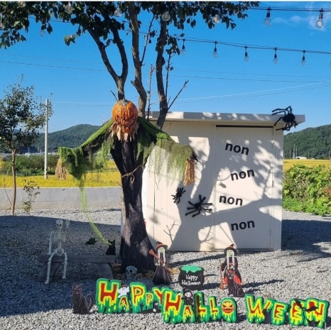 논논캠프 이미지