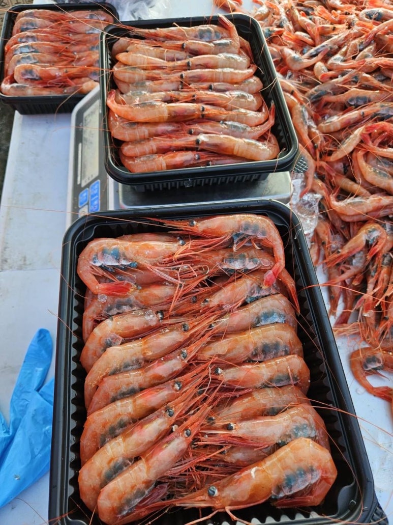 가야농수산 이미지
