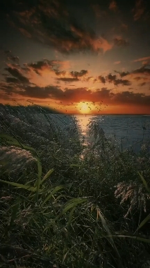 한신세무회계 이미지