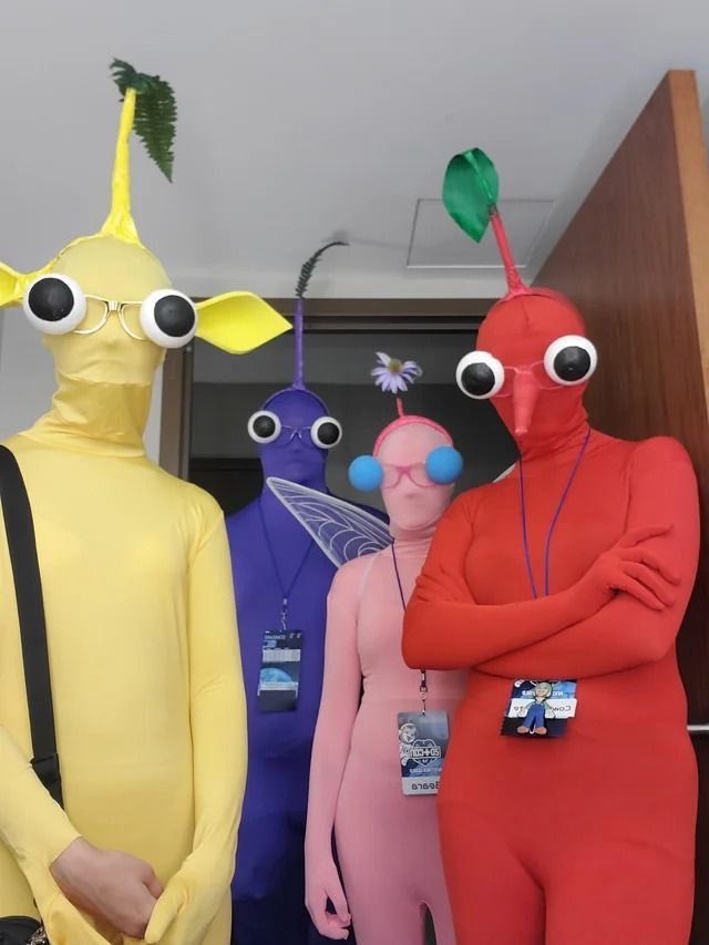 채원복권 이미지